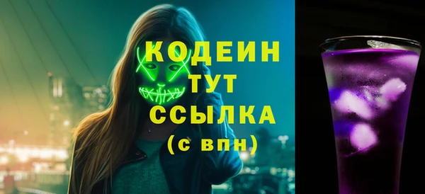 гашик Кулебаки