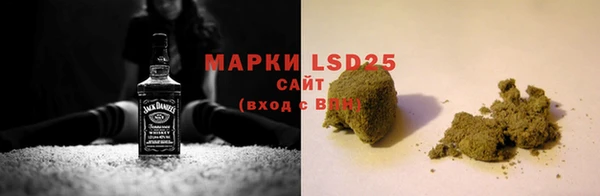 гашик Инсар