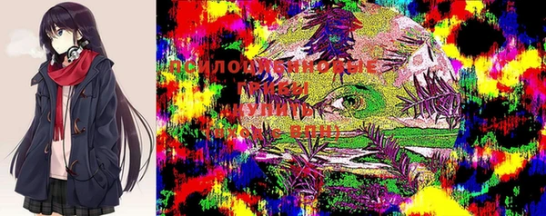 spice Зеленокумск