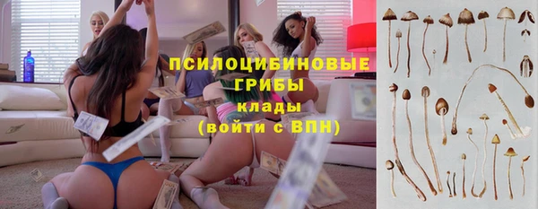 эйфоретик Инта