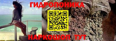 шишки Краснодар