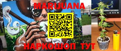 крисы Краснознаменск