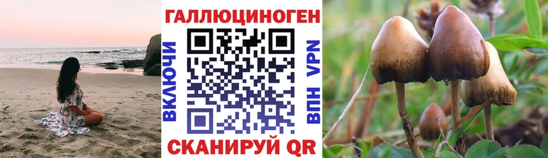 Псилоцибиновые грибы ЛСД Лосино-Петровский