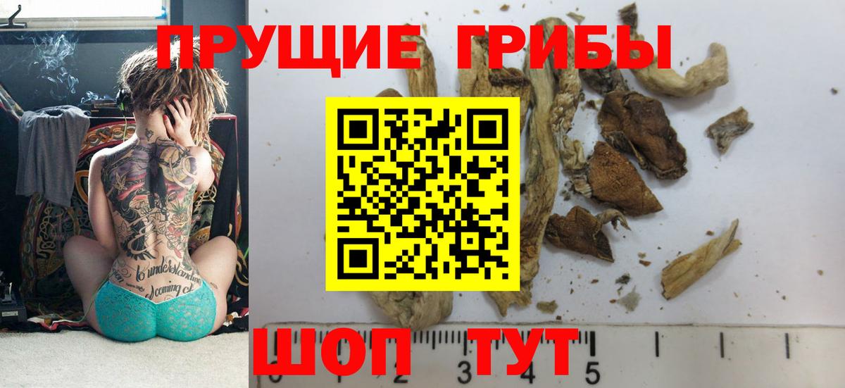 Псилоцибиновые грибы мухоморы  Вход с VPN  Лосино-Петровский  Галлюциногенные грибы Psilocybe 