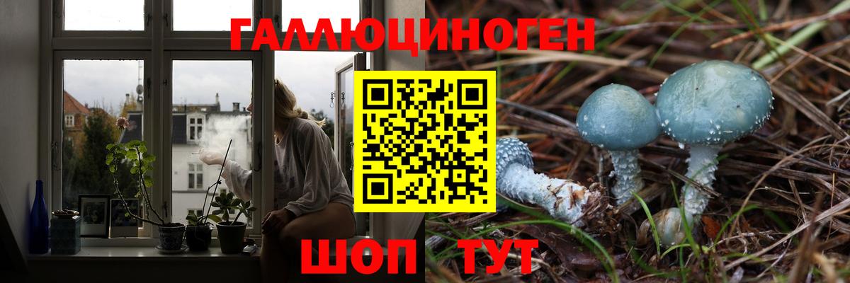 Галлюциногенные грибы мицелий Лосино-Петровский